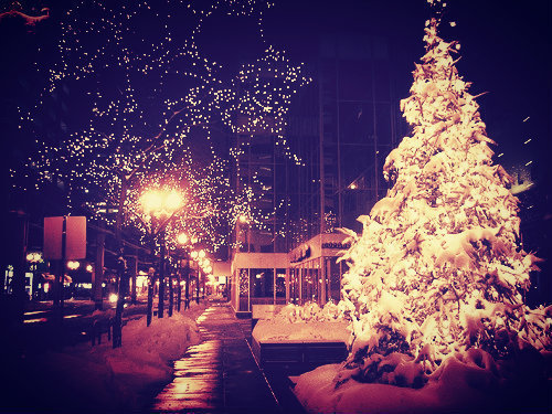 christmas tumblr pictures hey there christmas lovers i am a winter christmas tumblr pictures hey there christmas lovers i am a winter